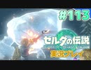 【実況】大空を翔る。ゼルダの伝説ティアーズオブザキングダム 実況プレイ！Part113【ゼルダの伝説TotK】