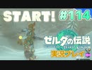 【実況】大空を翔る。ゼルダの伝説ティアーズオブザキングダム 実況プレイ！Part114【ゼルダの伝説TotK】