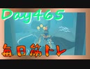 【毎日投稿】ムキ・ムキ・ムキへの道！！！【RFA負荷23】#465