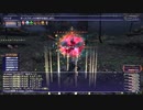 カッパのFF11生活1381　コリブリ祭りｉｎワジャーム樹林