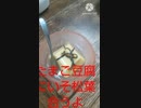 たまご豆腐にいそ松葉合うよ鎮痛剤ほしいどこが痛いのたまご豆腐違った頭後頭部