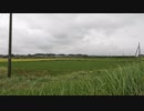 かすみがうらうら#26宴の跡とざぶとん