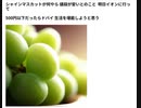 シャインマスカットが何やら 値段が安いとのこと 明日イオンに行って 500円以下だったらドバイ 生活を堪能しようと思う 　 Xディ防災サバイバル対策　旧名下流極貧貧民ダイエット