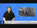 中国のベンチャーキャピタル取引が激減