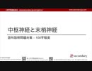 [Psyc] 語句説明問題対策 – 100字程度「中枢神経と末梢神経」 （心理学概論勉強会movie）