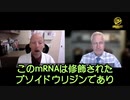 人体がメッセンジャーRNAを分解できるという証拠は、現時点では存在していない　ピーター・マッカロー博士
