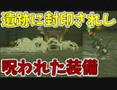 悪霊がとりついた装備を探そう！【ゼルダの伝説 ティアーズ オブ ザ キングダム】#120