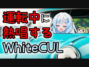 車の運転中に熱唱するWhiteCUL