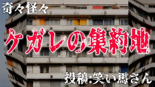 【怪談】奇々怪々「ケガレの集約地」投稿：笑い馬さん【朗読】