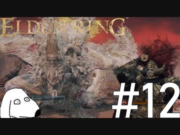 エルデンリング(犬)【ELDEN RING】＃12