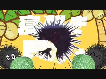 寝起きキャベツウニ