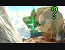 言葉が通じなくても世界は救える　TotKバーサーカーモード Part8