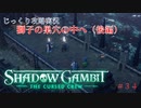 【SHADOW GAMBIT】第34回　獅子の巣穴の中へ（後編）　じっくり攻略実況　シャドーガンビット