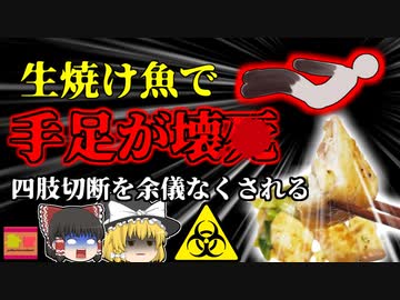 【2023年】生焼け魚を食べ手足や口が真っ黒に変色…四肢切断を余儀なくされた女性を襲った"人喰い細菌"『ビブリオ・バルニフィカス』【ゆっくり解説】