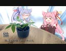 猫／DISH//(Piano.ver)【SynthV琴葉姉妹カバー】