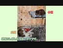 おててが美味しいらしい