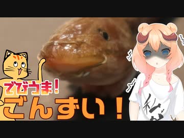 【魔王CH】ゴンズイの天ぷらで世界征服じゃ！【ボイピキッチン】