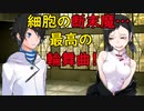 デビルサバイバー2BR【501・d】お願いフミちゃん