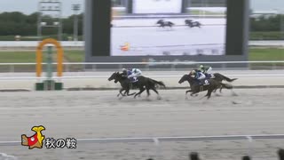 第34回秋の鞍 ナイトオブバンド