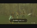 【Switch】リンクがゾナウとゼルダ探し旅【プレイ動画】part50
