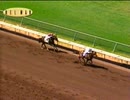 【海外競馬】 2003年パシフィッククラシック  キャンディライド
