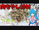 【VOICEVOX 雨晴はう】  こんなのでいいんんだよ!!  特売の豚小間肉とモヤシとニラを使った「豚肉もやしニラ炒め」を作ります!!