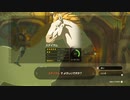 【実況】ハイラルソードTK　その40