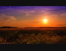 草花 flowering plant 【フリーBGM】