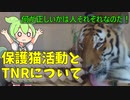 豆知識第114話　保護猫活動した人が虐待・自作自演と言われた件について