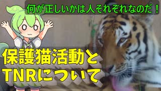 豆知識第114話　保護猫活動した人が虐待・自作自演と言われた件について