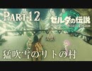 猛吹雪のリトの村【ゼルダの伝説 ティアーズオブザキングダム】Part12