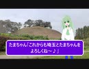 たまちゃんどうが2023