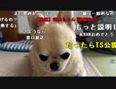 【ニンポー】前枠のはzさんの悪口じゃなく一般的な悪口の羅列をしただけです。2023年9月17日