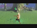 【ティアキン】依頼を受けて、土遁の術の効果音を重複させたかった【ドリカラ】【ボイスピ実況,ゼルダの伝説ティアーズオブザキングダム,TotK,ゼル伝】