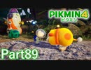 ルーイのごちそう その1【PIKMIN4実況part89】
