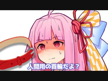 人間用の首輪だよ？