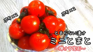 簡単仕込みで旨味弾ける宝石！やみつきミニトマト漬け★作り方