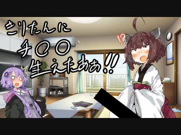 助けてゆかりさん！【VOICEROID劇場】
