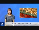 現代史上最悪の世界的食糧危機