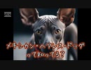メキシカン・ヘアレス・ドッグって知ってる？