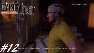 【実況】飽く無きオレらに挑戦を、彷徨うゾンビに永眠を #12【Dying Light】