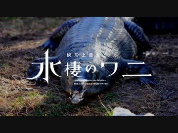 【VOICEROID解説】東北ずん子の《ワニ》講座【ずんこうざDX】