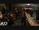【実況】飽く無きオレらに挑戦を、彷徨うゾンビに永眠を #13【Dying Light】