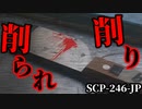 【ゆっくり解説】一部閲覧注意。異常なのはオブジェクト？それとも…　削り削られ SCP-246-JP