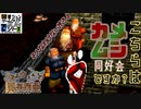 装備買ったら、カメムシだった件。【ウェルトオブ・イストリア】第十部【50音順にゲームをクリアし、50音順に話すシリーズ（PSアーカイブス編）】