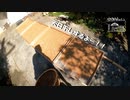【第182回】天日干しとレモンの葉っぱとリボンハイトリ