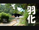 【第183回】羽化と桃とクリ手袋