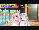 【VOICEROID劇場】琴葉葵は整いたい