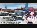 【第2回ソロ実況祭】花梨さんがエンジンを始動します【MSFS】