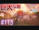 【実況】巨大すぎる敵 #113【Horizon Forbidden West】